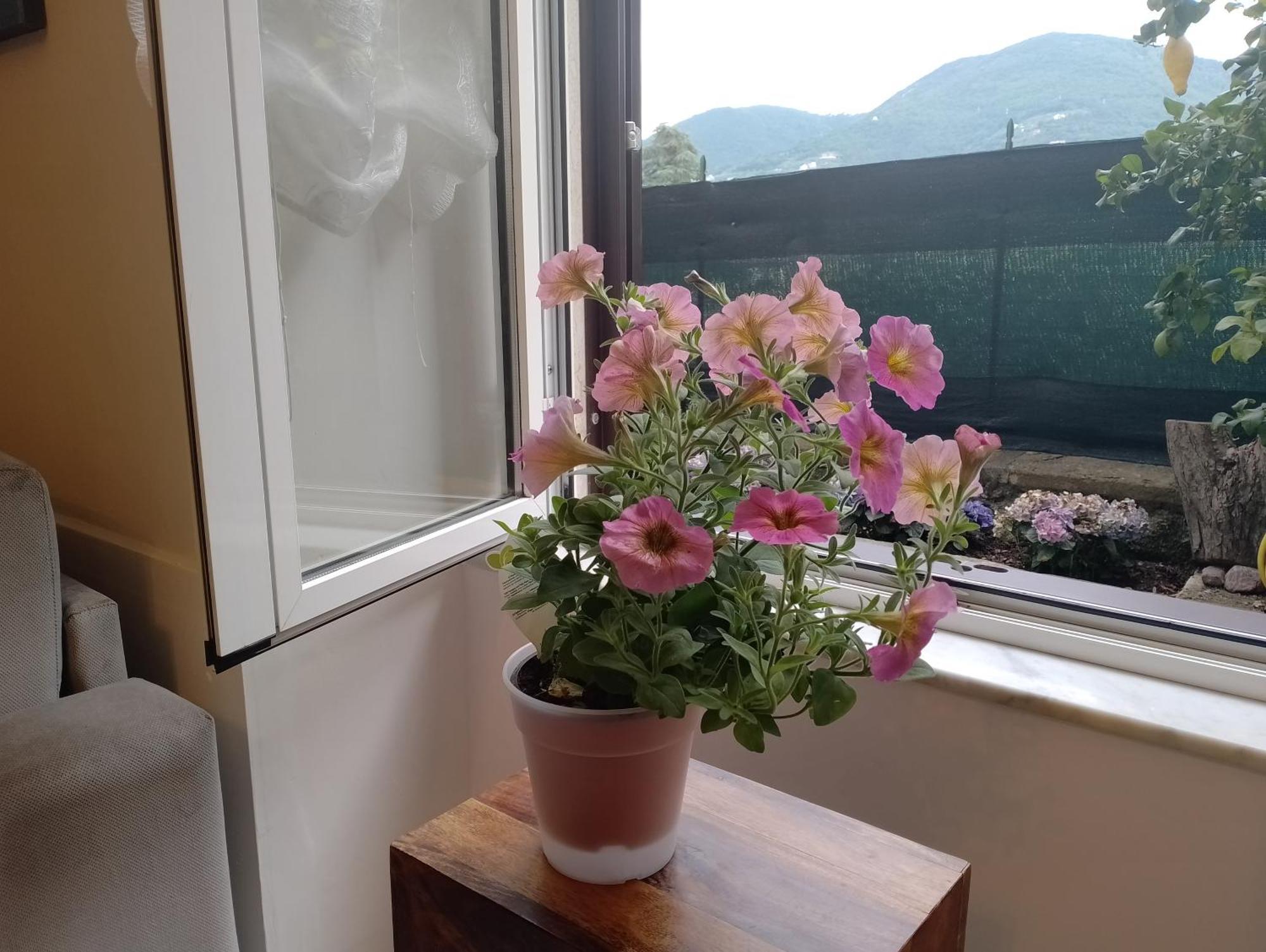 Ferienwohnung Casa Veve' La Spezia Exterior foto